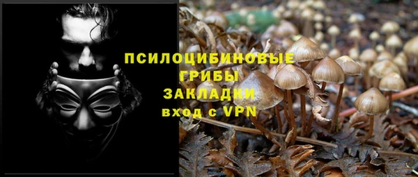 амфетамин Алексин
